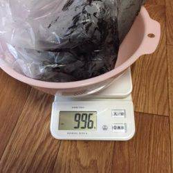 方杭漁港で初春イカ